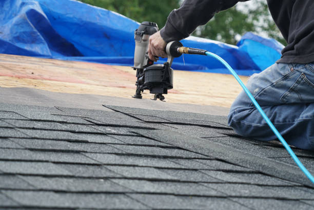 Best Green or Eco-Friendly Roofing Solutions  in Doffing, TX